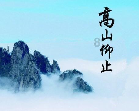推动贵州干净茶发力“新赛道”